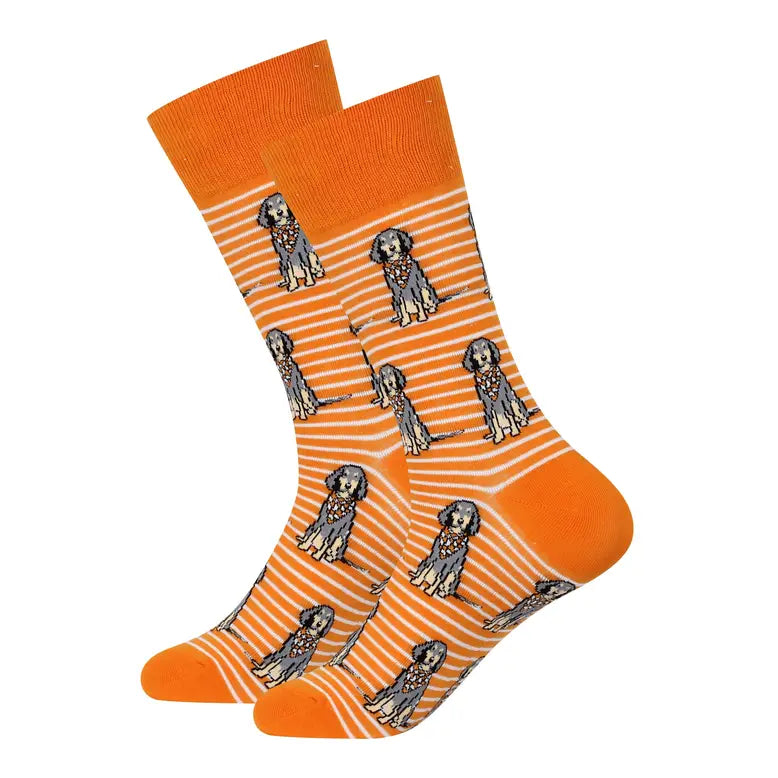 Sitting Bluetick Coonhound Socks