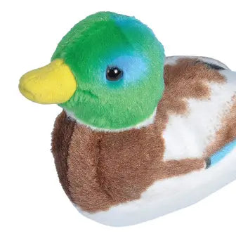 Mallard Duck Stuffed Animal W Sound