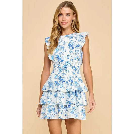 Floral Print Lace Insert Ruffle Detail Dress