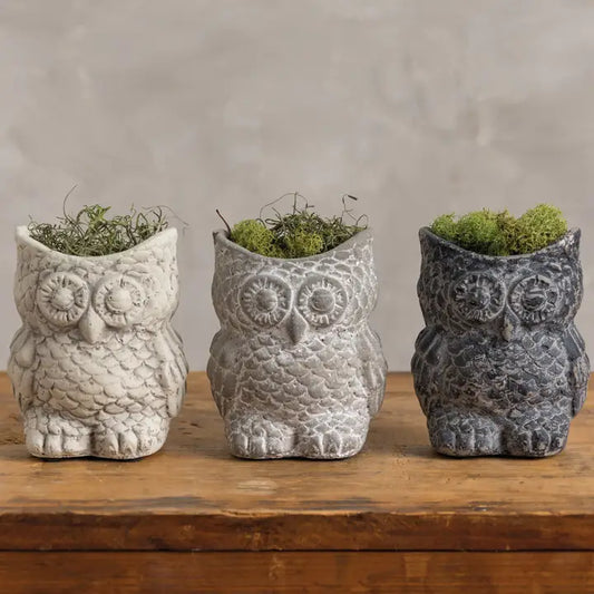 Cement Owl Planters