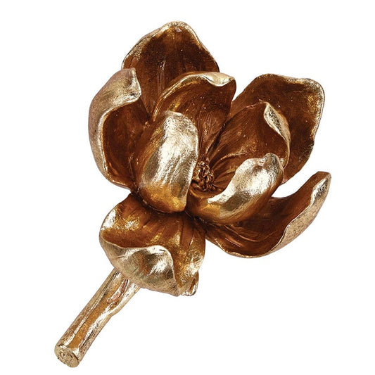 Golden Magnolia Accent