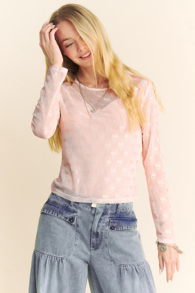 Ribbon Embroidered Long Sleeve Mesh Top