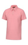 Horizon Stripe Performance Polo